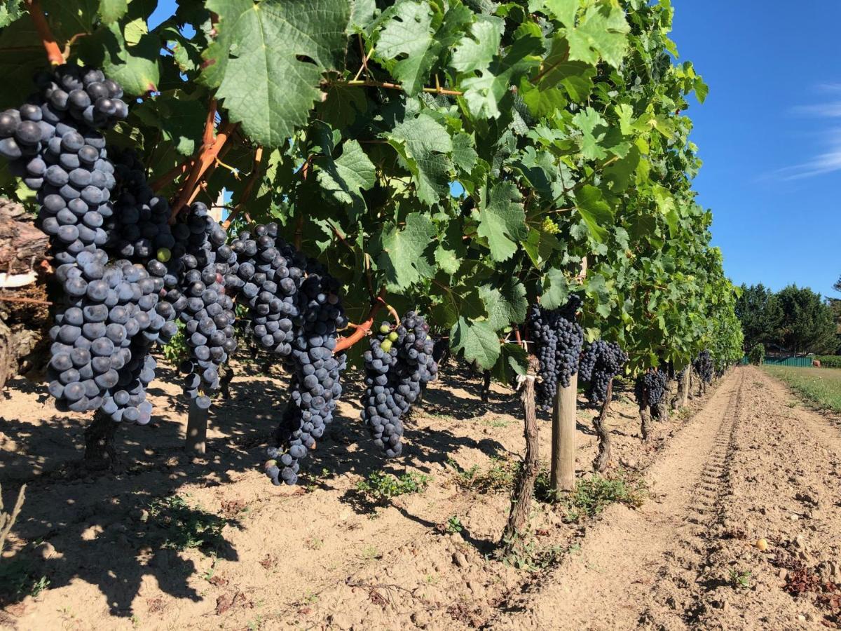Clos De Bertinat Saint-Sulpice-de-Faleyrens Εξωτερικό φωτογραφία